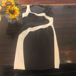 Anne Klein Silky Black and Champagne dress